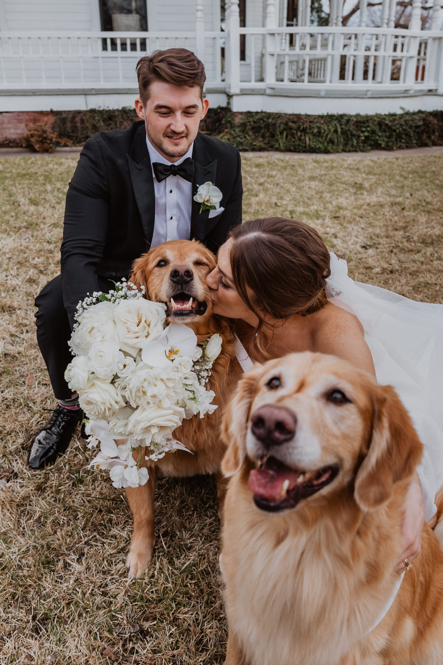 couple posing with their dogs at their wedding