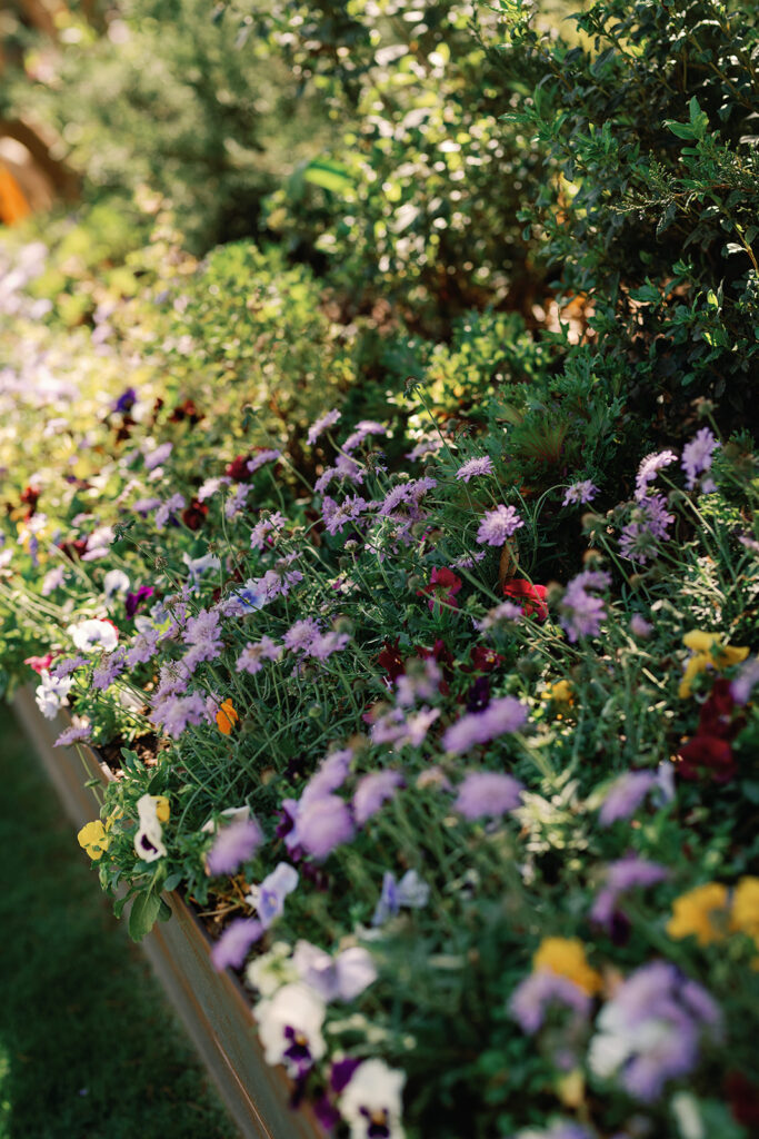 flowers at Hummingbird House